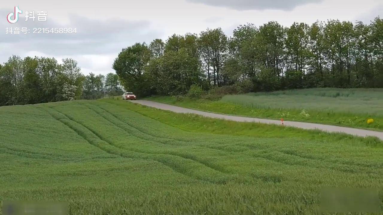 开云·体育官网-从沙尘到冰雪：WRC面对极端环境的策略的简单介绍