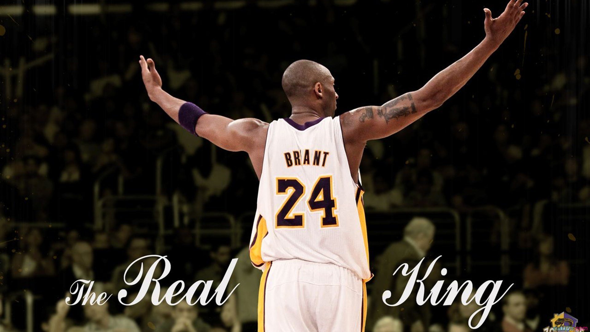 开云·体育官网APP下载-_骑士队新秀崭露头角，未来无限可能_，骑士队员最新名单