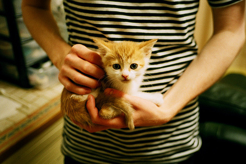 开云·体育全站登录地址-“法甲豪门迎战强敌，场面激烈精彩纷呈”，法甲豪门球队