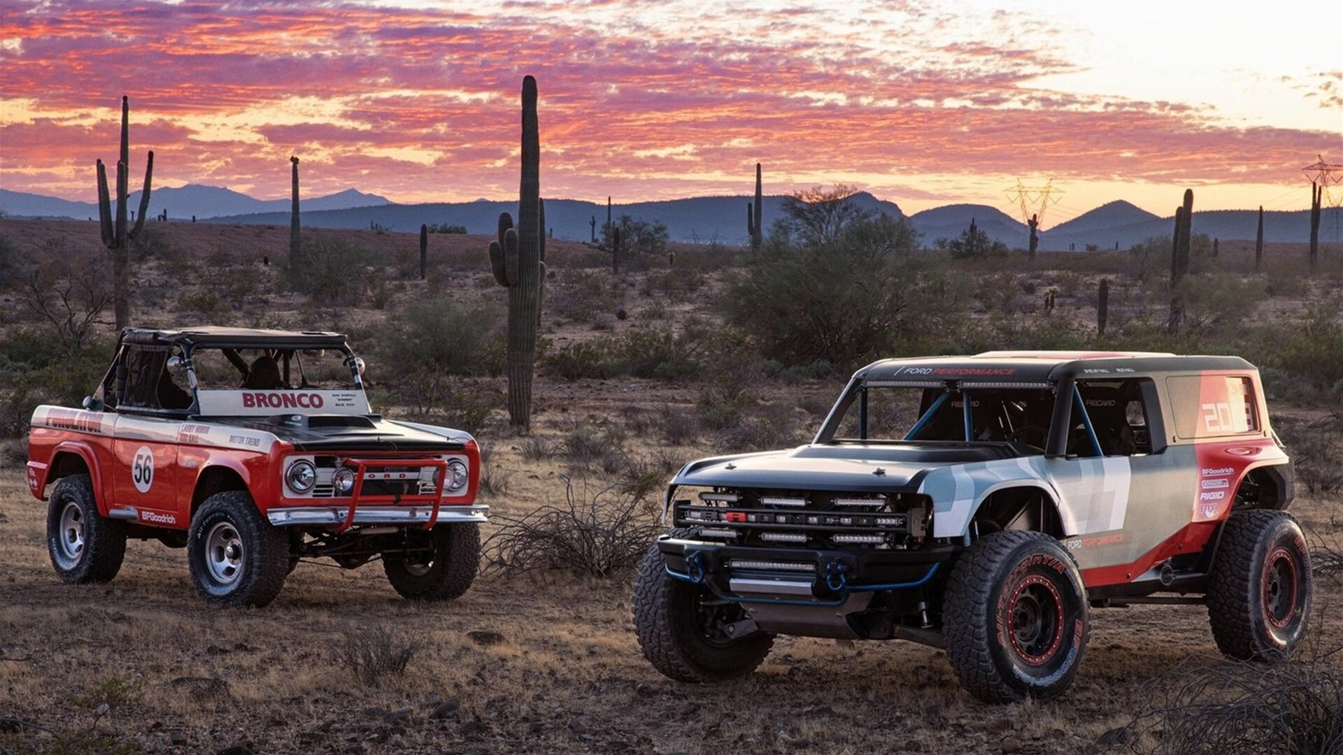 kaiyun登录入口-新秀崛起：WRC未来之星的成长轨迹，未来新秀的意思