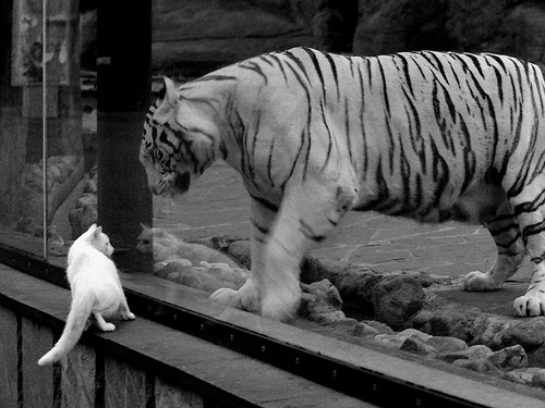 Kaiyun(中国)开云-绝杀之神：终场前决定胜负的投篮瞬间，绝杀球给谁