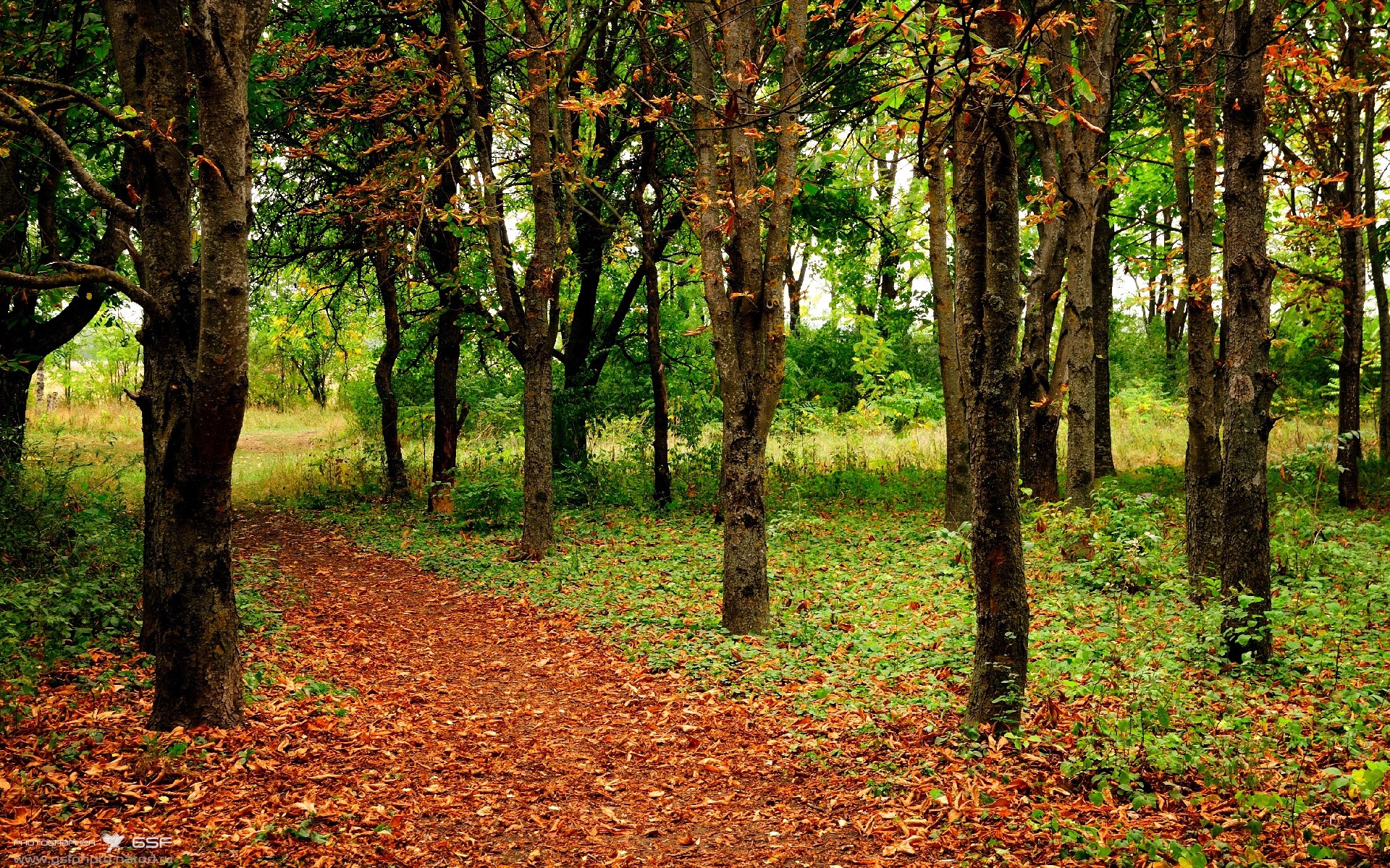 Kaiyun(中国)开云-足球球迷积分系统上线打造活跃生态，足球积分算法
