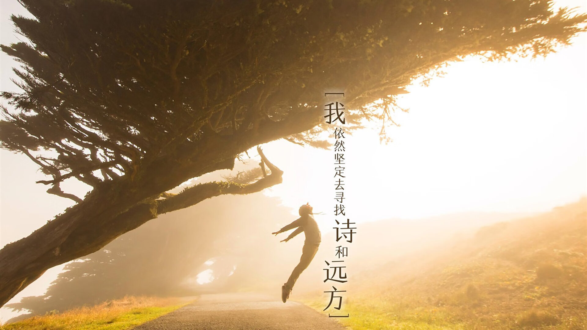 开云·Kaiyun网页版-阿莱格里执教斯图加特，带队实现逆转，阿莱斯特 卡图故事