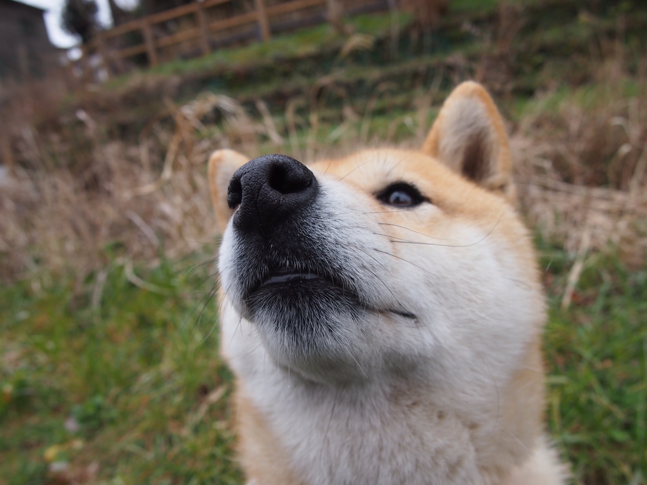 KPL选手心理素质培训加强,kpl职业选手训练方法视频