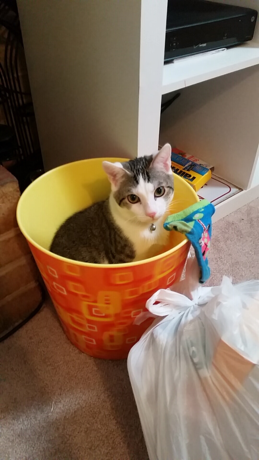 开云平台-国家队篮球备战计划优化，国家队篮球备战计划优化方案