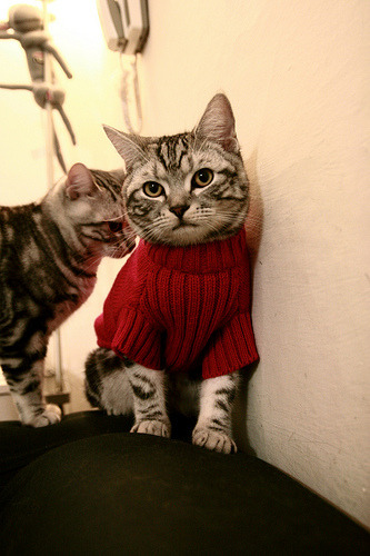 kaiyun网站-激烈足球比赛中球员场上默契配合，足球策应配合