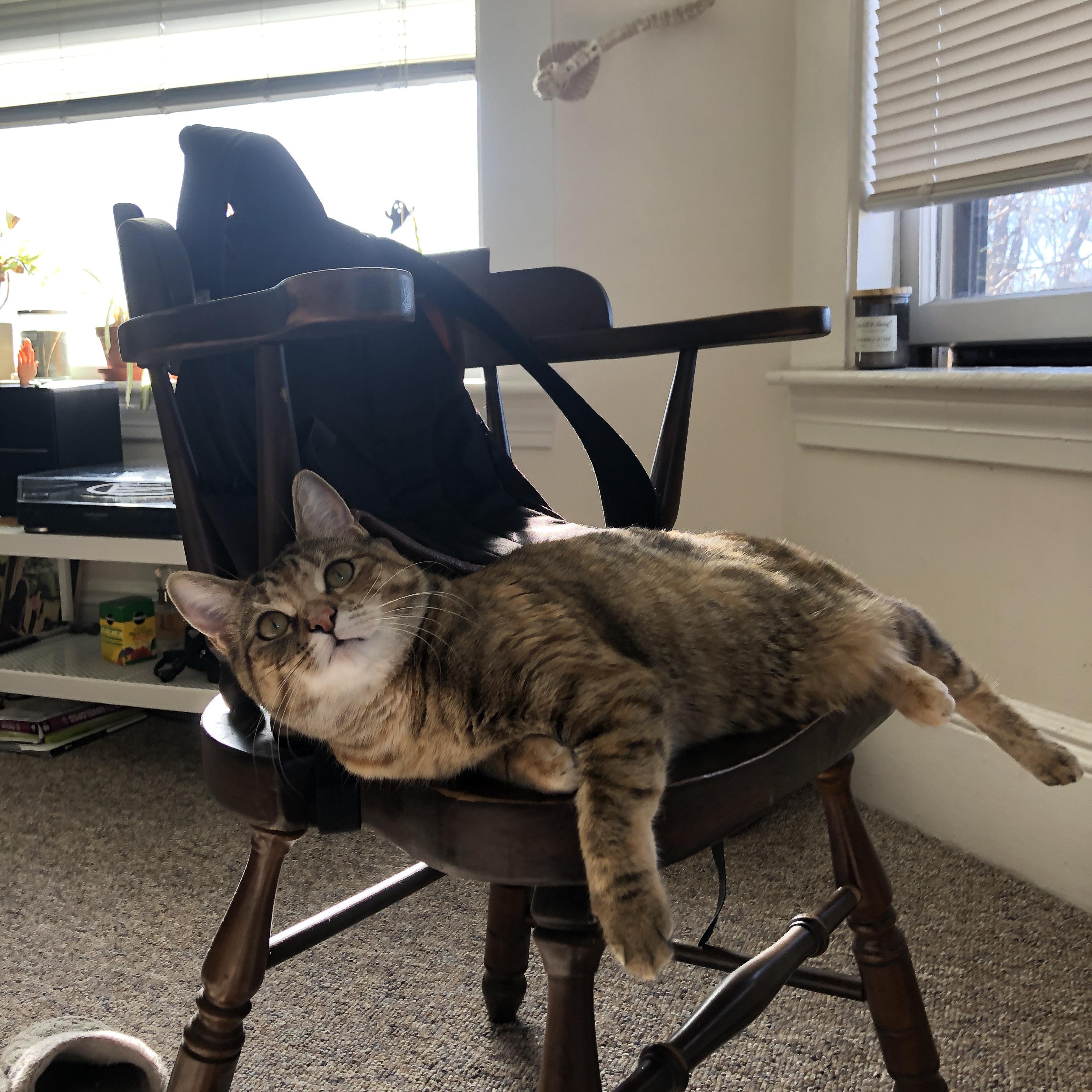 Kaiyun官方登录入口-激烈马术公开赛顶尖组合巅峰对决，马术挑战