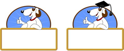 开云官方-校园体育节活动对学生参与度的促进作用，学校体育节活动描述