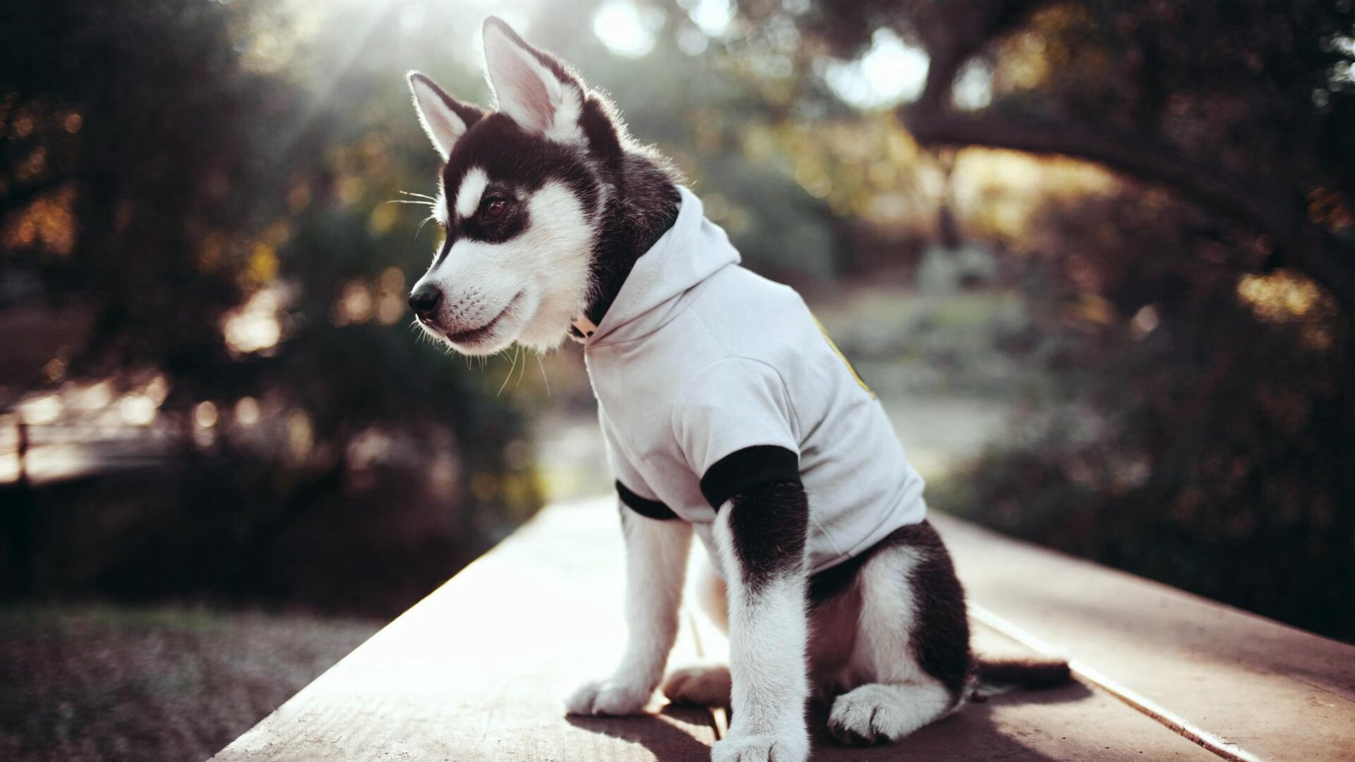 亚冠联赛中国足球爆冷 球员磨合需加强,中国足球亚冠最好成绩