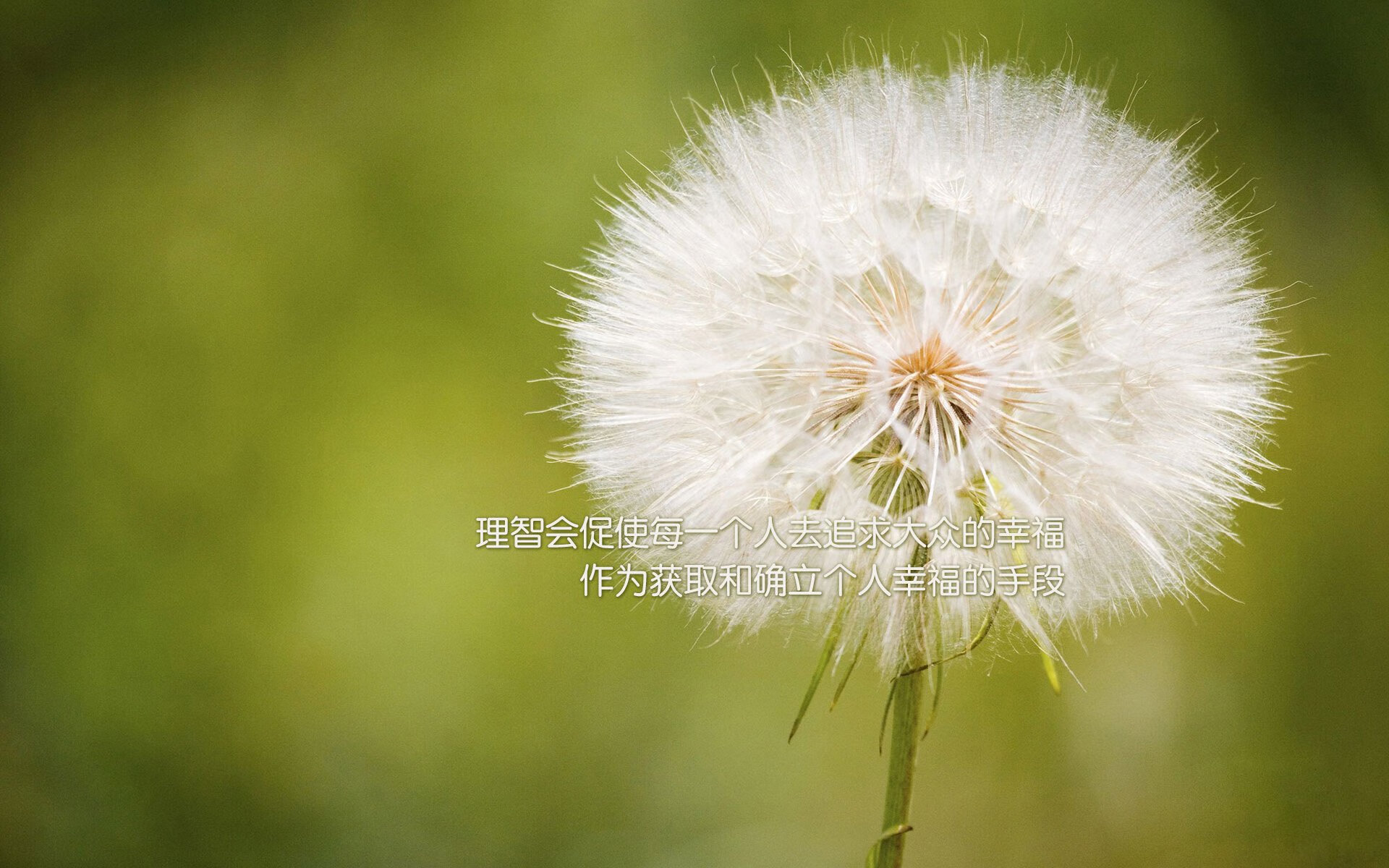 kaiyun开云·官方网站-切尔西战术压制PSG，控场表现卓越，slp切尔西