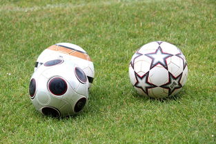 开云中国-基层足球俱乐部资金短缺，基层足球俱乐部资金短缺的原因