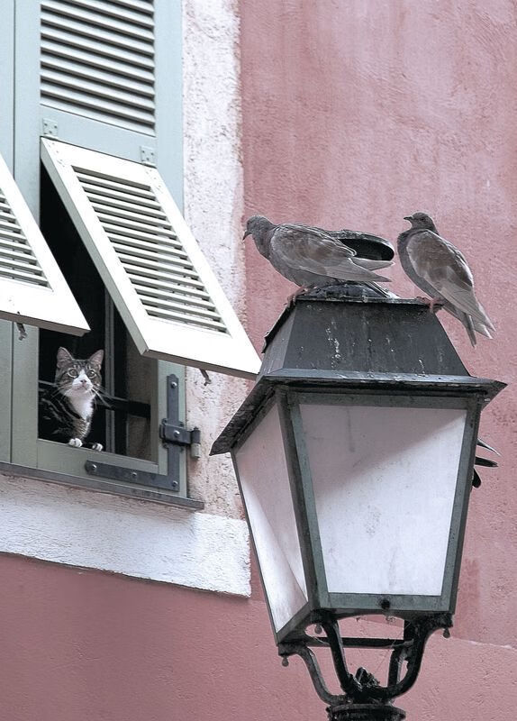 马赛以高压反抢主导比赛空间使用