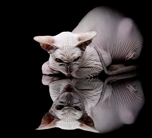 开云全站-哈登称快船需保持攻守平衡打出高效节奏，哈登vs快船集锦