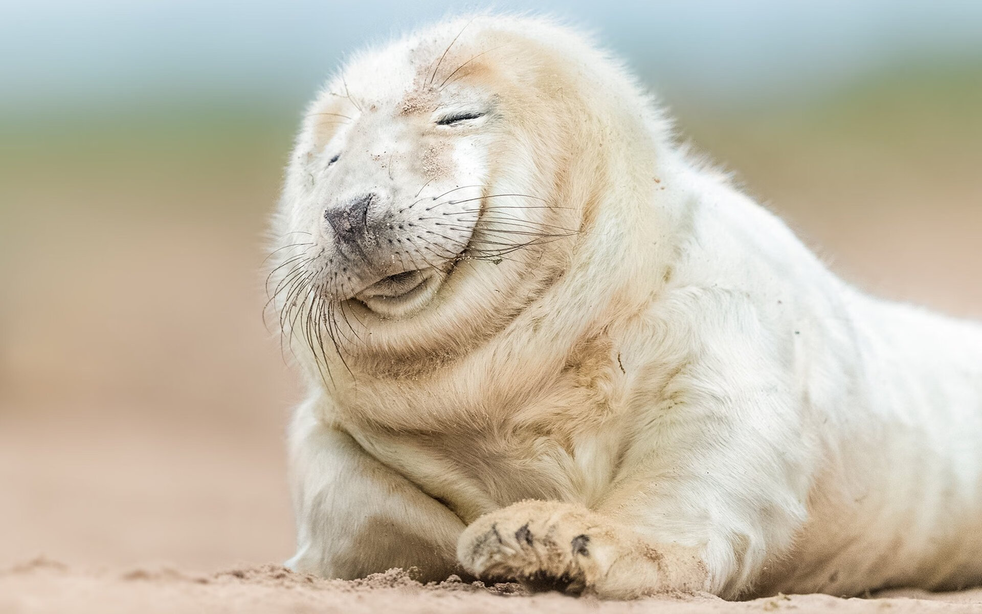 kaiyun中国官方网站-奥运男篮预选赛火热进行，欧洲强队争抢宝贵门票，奥运会男篮落选赛欧洲