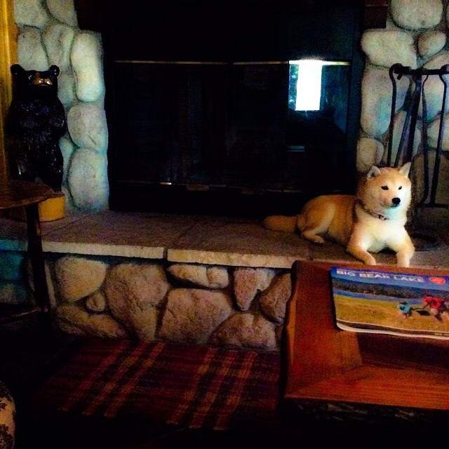 女篮青年队设置技能专项日提升攻防专注度，女篮球队训练计划