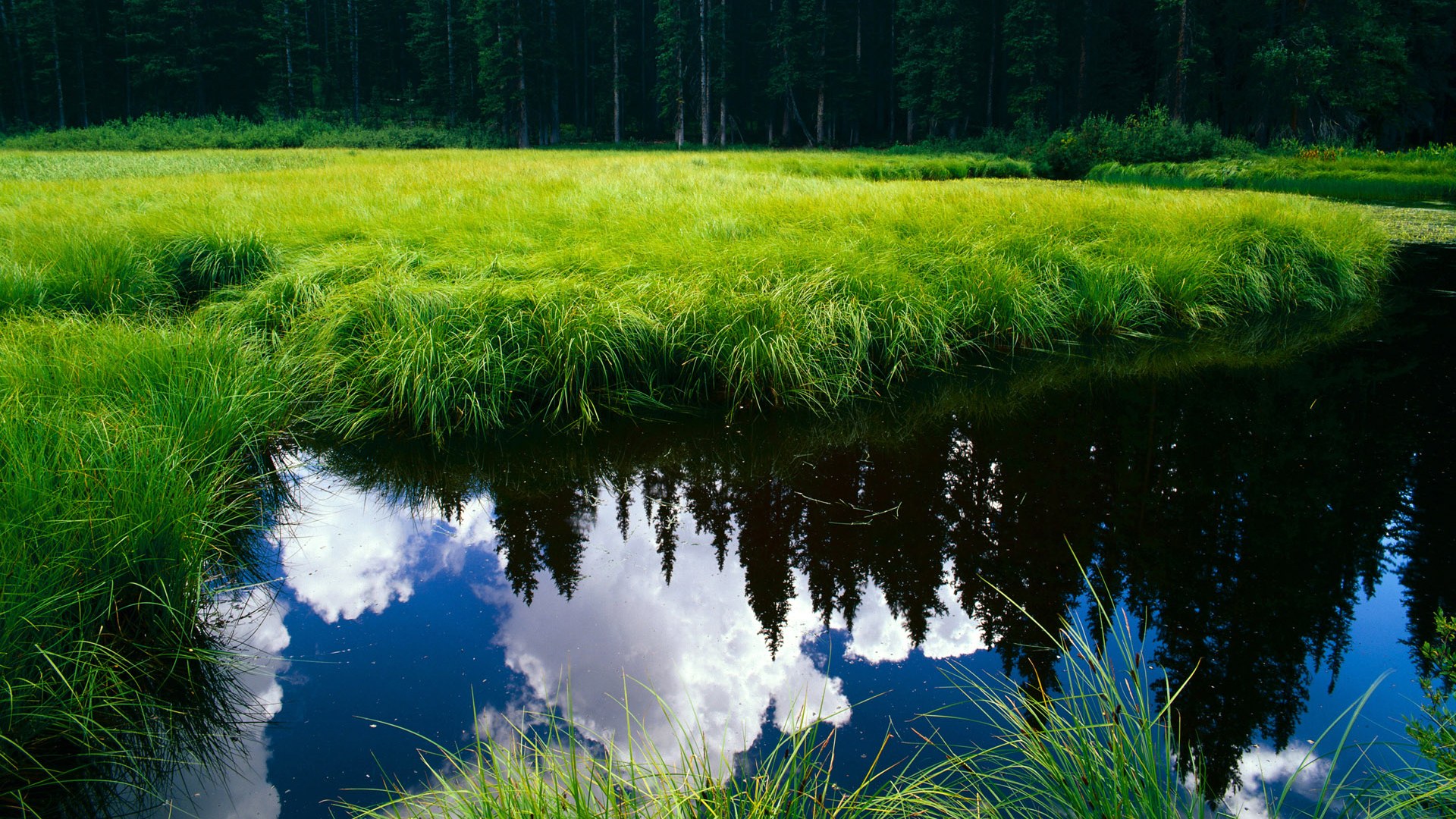 美洲杯紧张对决:逆境中的坚韧与突破,美洲 杯