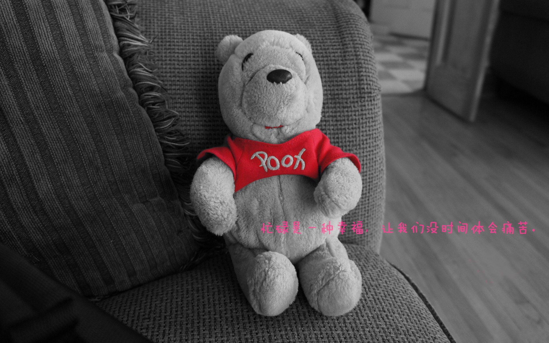 观众现场反应热烈球队每一次进攻都引发全场高分贝欢呼,球赛观众