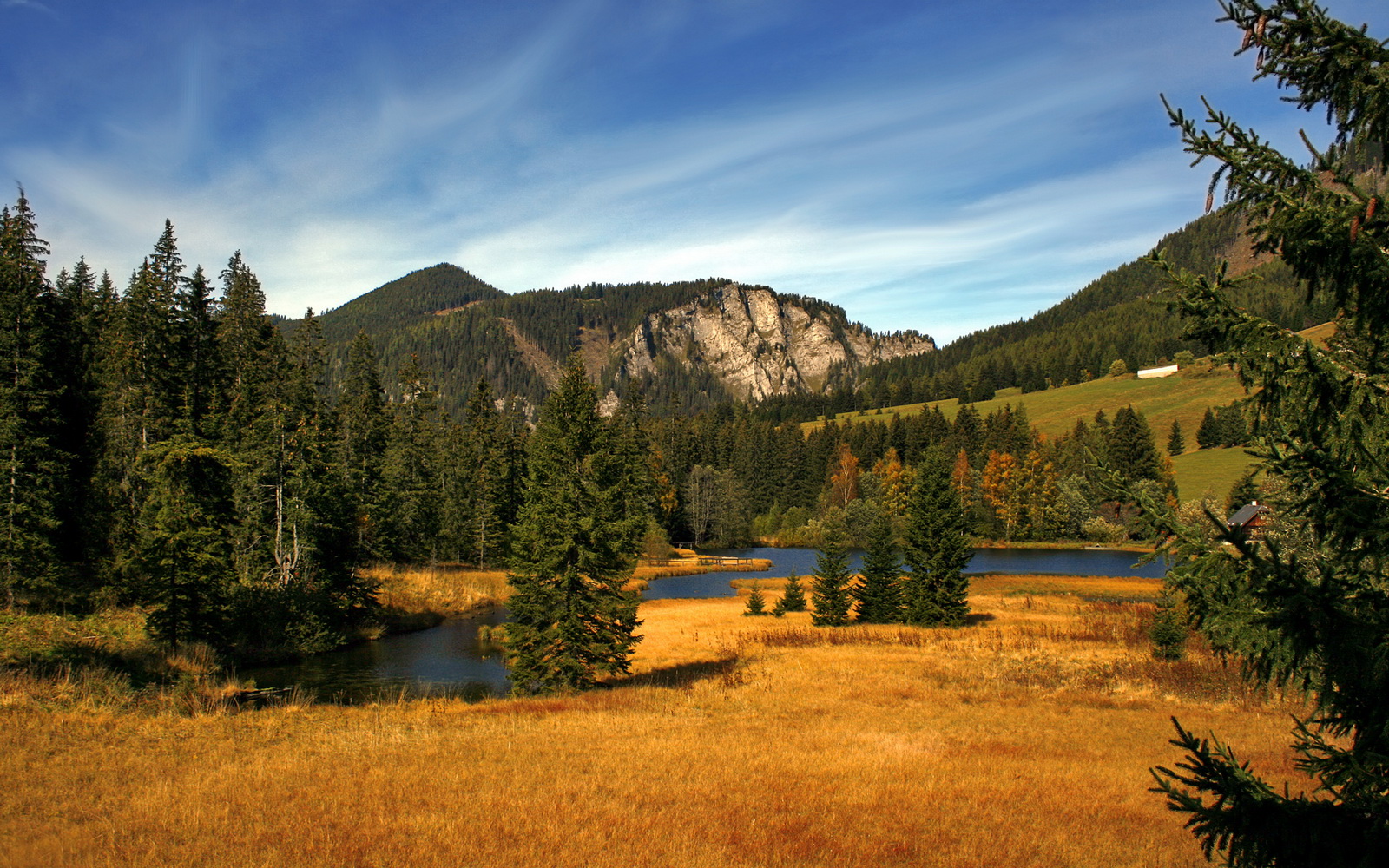 跳水细节打磨突尼斯不断进步,跳水狰狞