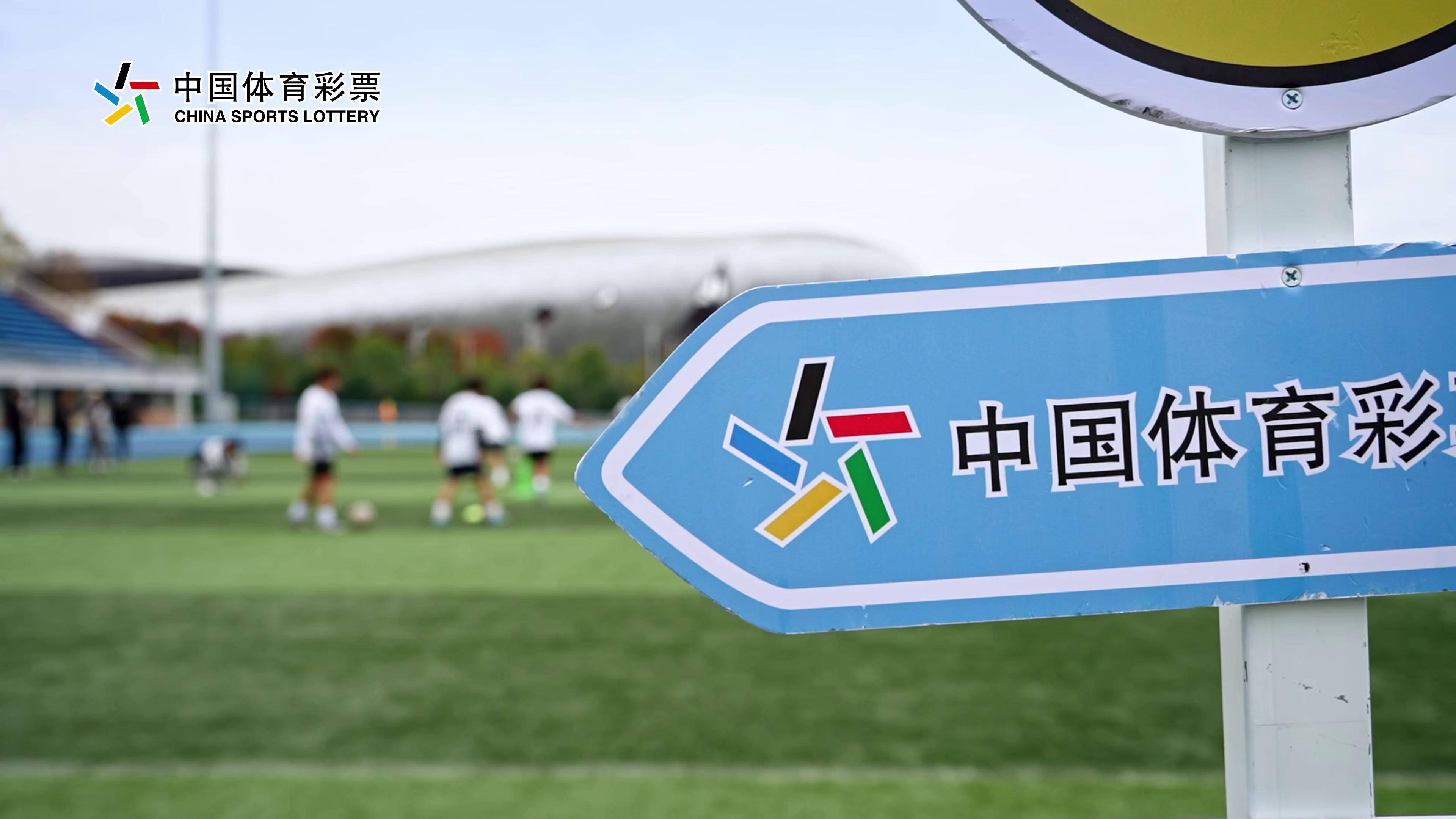 开云网页版-开云体育:中国足球公益足球项目社会效益评估：促进青少年健康成长与社会融合的简单介绍